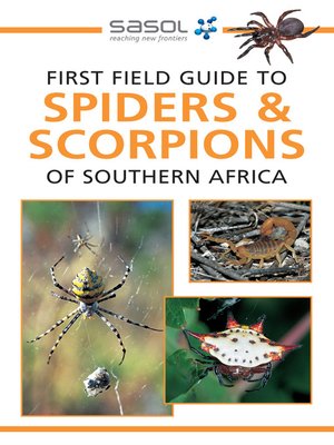 cover image of First Field Guide to Spiders & Scorpions of Southern Africa